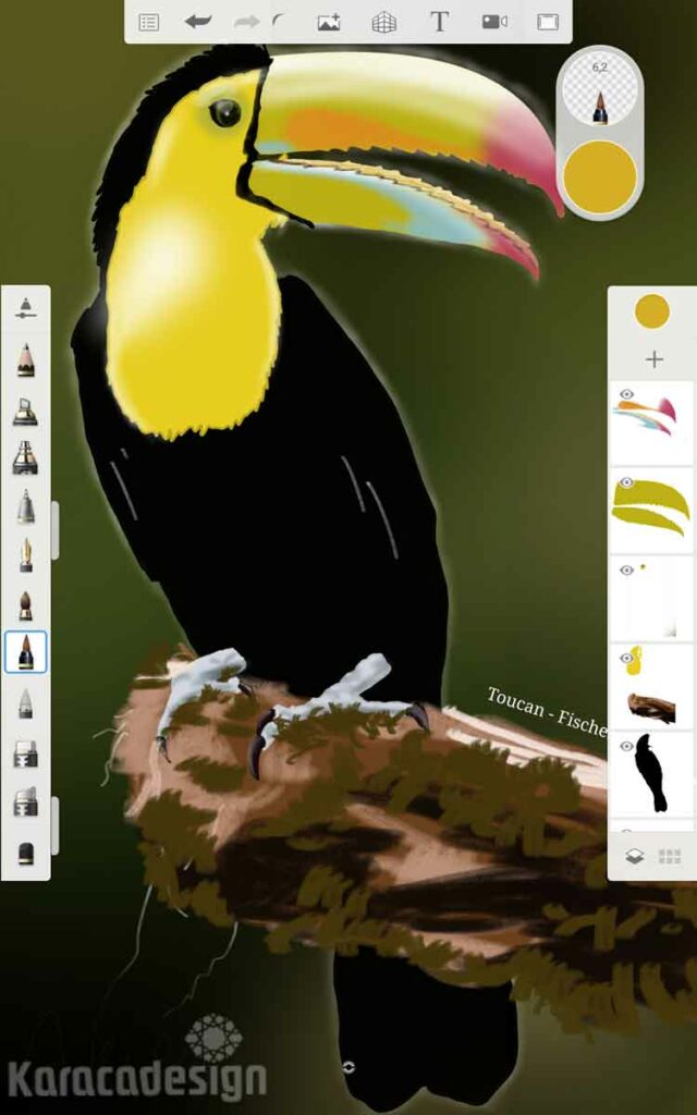 toucan paint