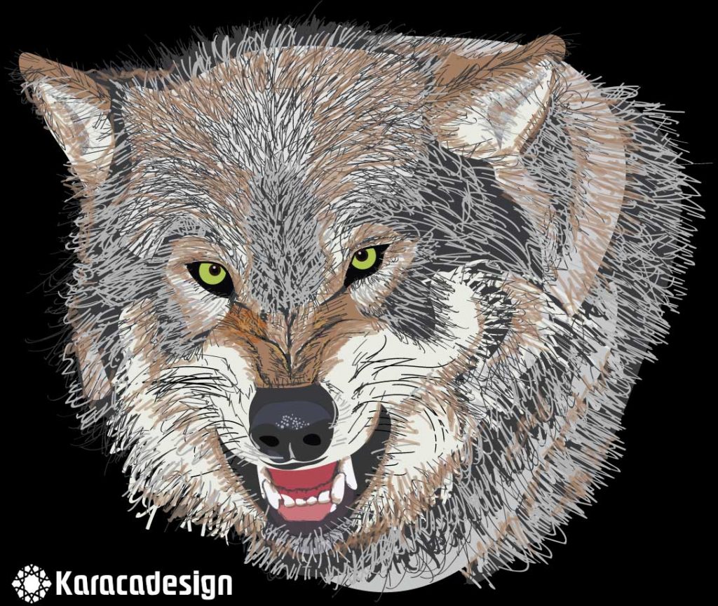 Wolf in vector graphics