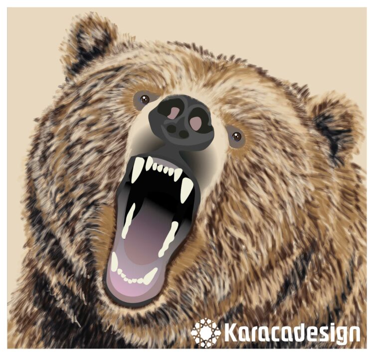 Bear vectorgraphic