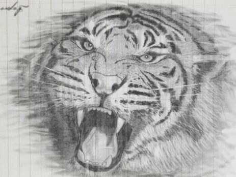 bengali tiger