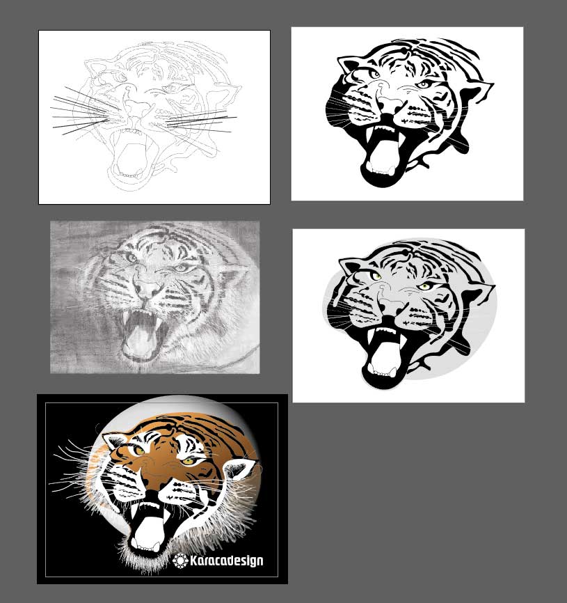 Tiger in vector graphics